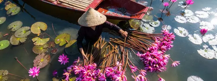 Explorar la tierra de Vietnam.