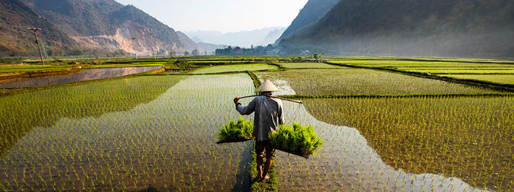 Leyendas y mitos populares vietnamitas